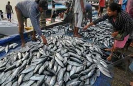 Berantas Ilegal Fishing, Ekspor Ikan Jateng diharapkan Naik